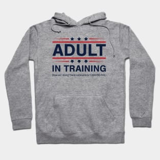 Adult In Training Hoodie